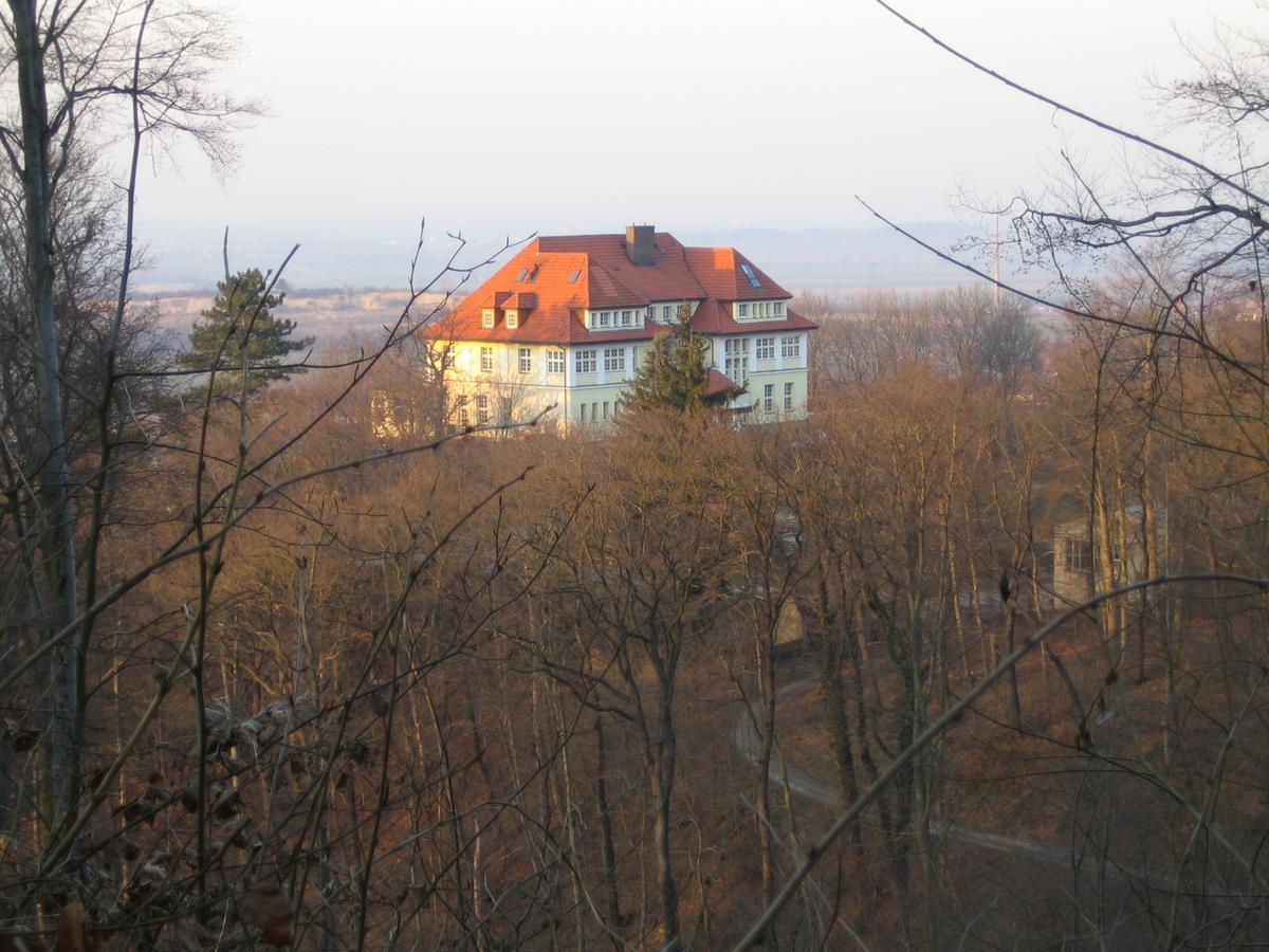 Hotel Stubenberg Gernrode  Экстерьер фото
