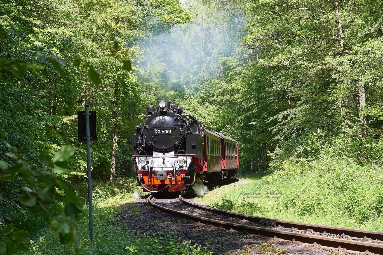 Hotel Stubenberg Gernrode  Экстерьер фото