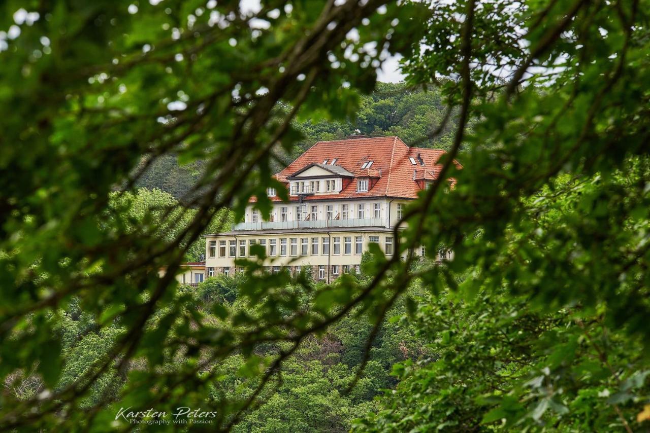 Hotel Stubenberg Gernrode  Экстерьер фото